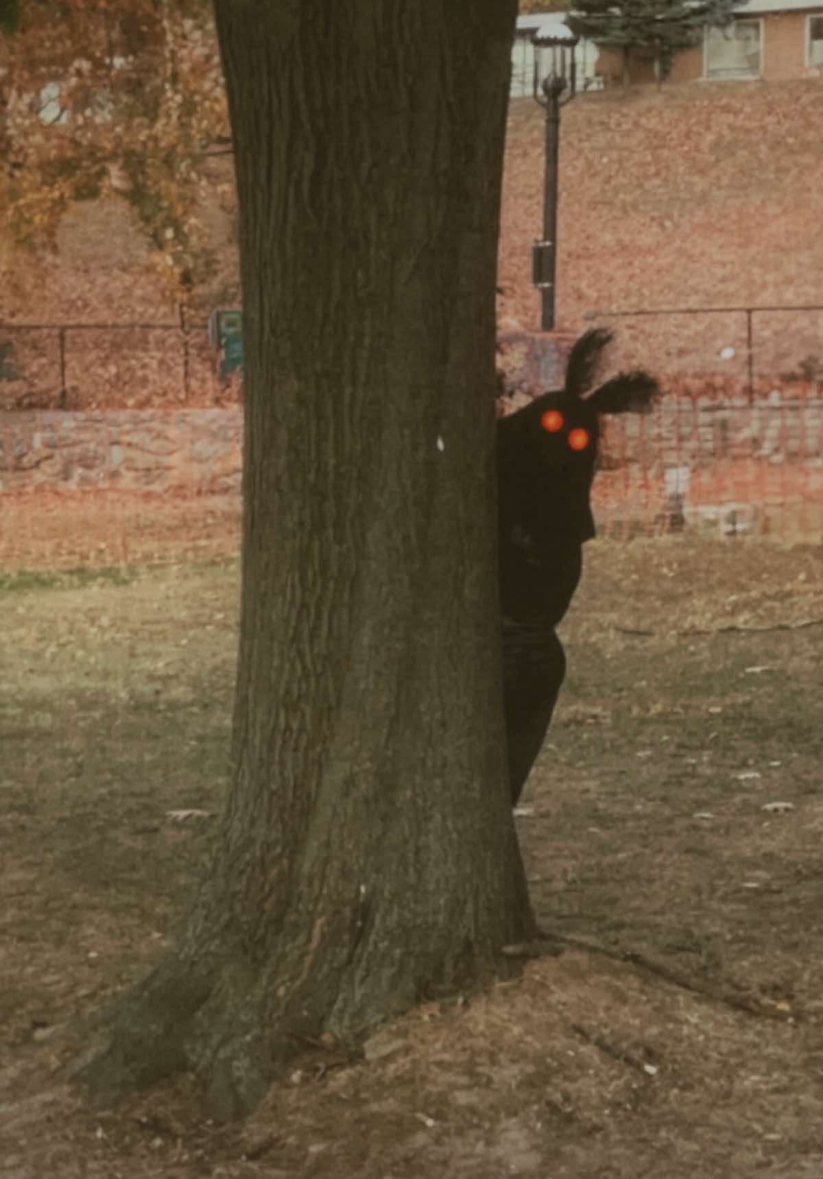 #halloweencostume #halloweencostumeideas #mothman #mothmancostume #funnyhalloweencostumes #uniquehalloweencostumes #halloween #sleepyhollow 