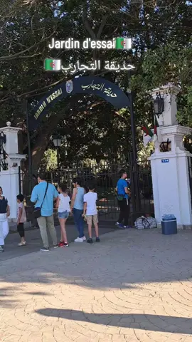 #alger 