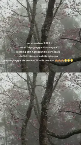 negara Konoha memang bikin pusing.. selalu menindas rakyat kecil.gmn mau maju coba. 