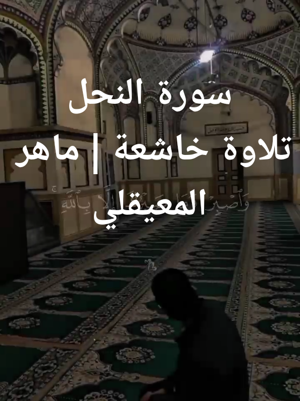 سورة النحل ♥️ #ماهر_المعيقلي #سورة_النحل  #ارح_سمعك_بالقرآن_الكريم #ولئن_صبرتم_لهو_خير_للصابرين  #قرآن #foryou 