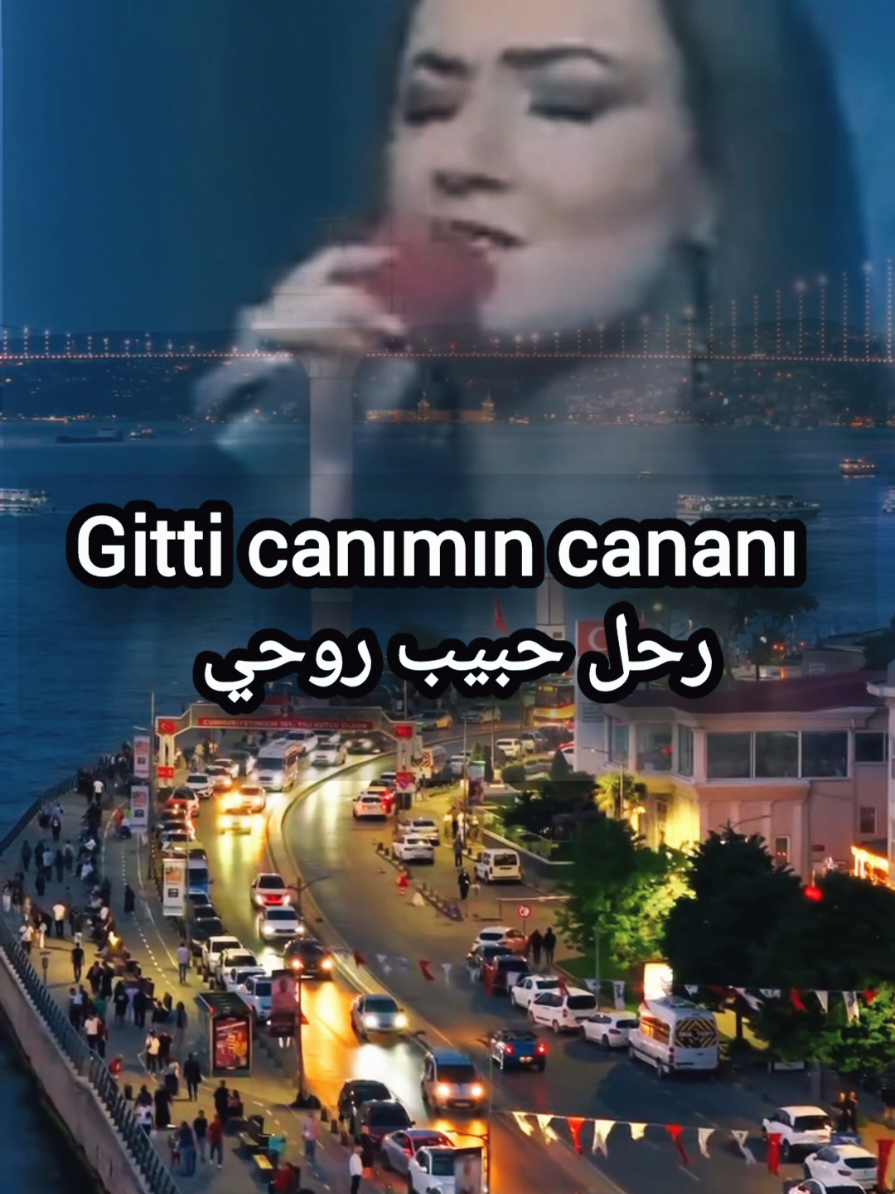 اغنية سيفجان اورهان رحل حبيب الروح  أجمل اغنية تركية حزينة  Sevcan Orhan  best turkish song #اكسبلور #keşfet #explore 