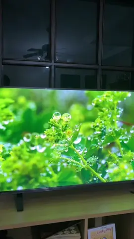 Google TV C350NP 4K 43 inc gambarnya jernih banget #googletv #toshiba #smarttv #tvmurah #wibgajian #cuantanpabatas 