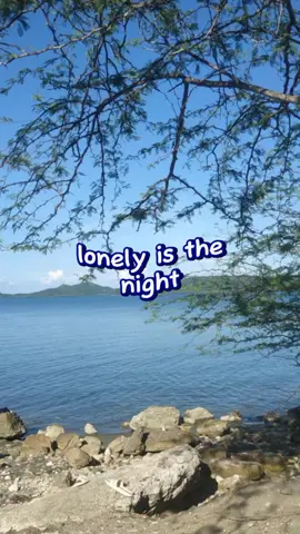 lonely is the night #lovers_music7 #fyp #80smusic #opmlovesong #fypシ゚viral 