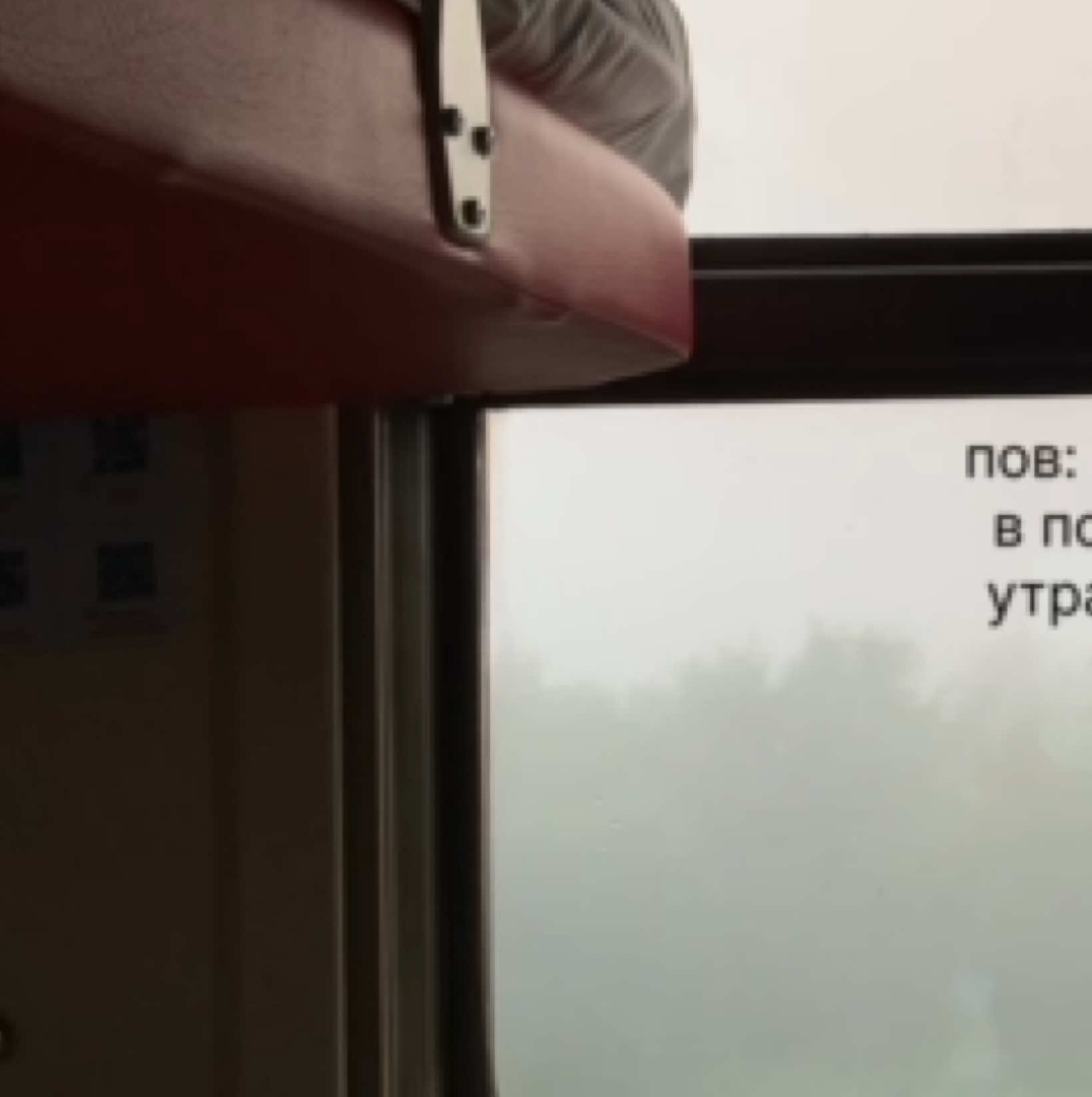 я восхищаюсь природой и плацкартом  встала в 4 утра и меня ждёт такая картина, я чуть не расплакалась от красоты, кто читает кр, очень похоже на морок, я в восторге, это лучшее что мне удавалось видеть в поезде, очень красиво! #поезд #деньрождения #питер #путешествие #природа #морок #состояние #плацкарт 