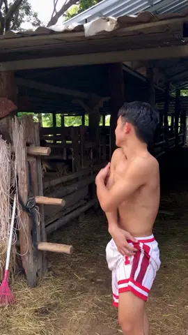🐃