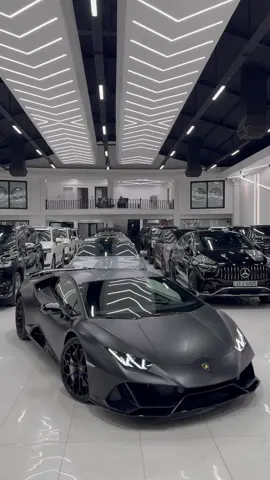 No words#explore #car #fyp #viral #money #lamborghini #foryoupage #trending #trend 