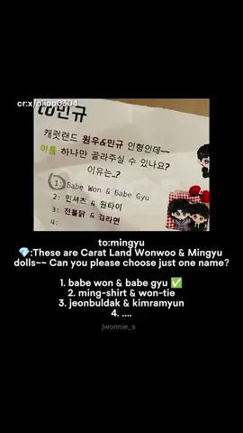 mingyu chose 