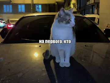 трек в тгк: lyricsulya //АК-47 & Ноггано - Nо Раsаrаn #текстпесни #lyrics #щп #song 