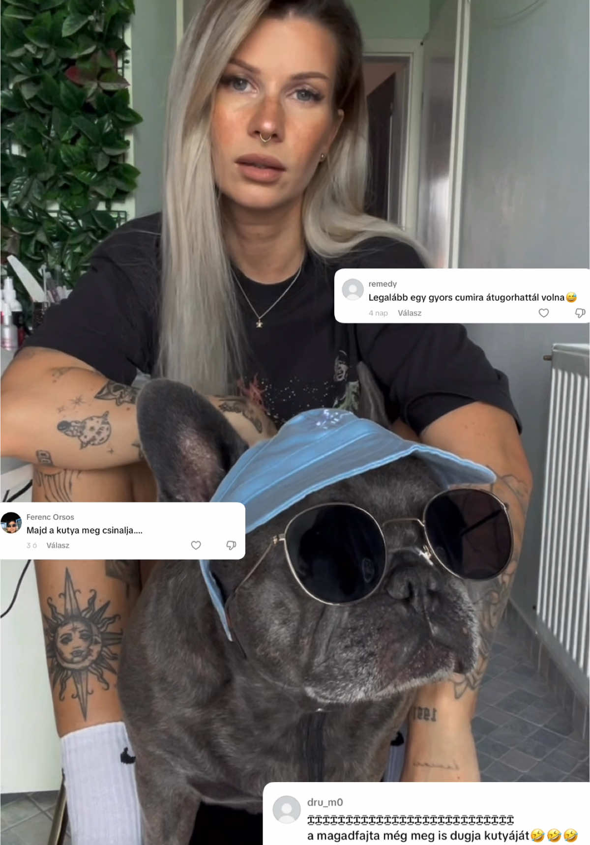 Aztan csodalkozunk hogy jobban szeretem az allatokat mint az embereket …. Hanyinger kerulget toluk #fyp #foryou #nekedbelegyen #neked #frenchbulldog #frenchiesoftiktok #puppiesoftiktok #frenchie #foryoupage 