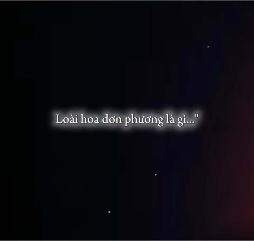 Muốn hỏi em rằng loai hoa đơn phương là gì.. #CapCut #nhachaymoingay #xh #lyrics #remix #music #nhachay 