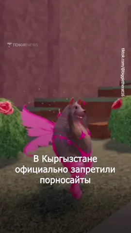 В Кыргызстане вступил в силу закон о запрете доступа к порнографическим сайтам. Президент Садыр Жапаров подписал документ, направленный на защиту моральных и духовных ценностей. Теперь при обнаружении порнографического контента сайт или его отдельные страницы могут быть заблокированы на срок до двух месяцев. Блокировку обязаны исполнять все провайдеры и владельцы интернет-ресурсов.
