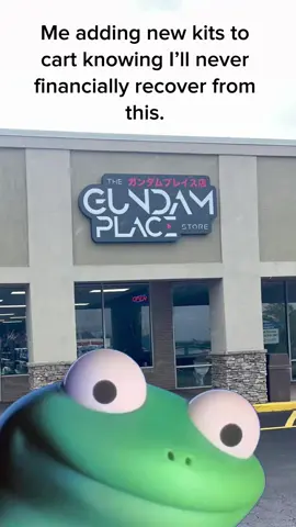 Serisously. Between 3rd party and Bandai announcements, there’s a lot of good kits out there. Really hoping for some new Gundam Wing kits or Frozen Tear drop stuff in the future! #gundam #mecha #gunpla #gundamwing #fyp #lizard #meme   