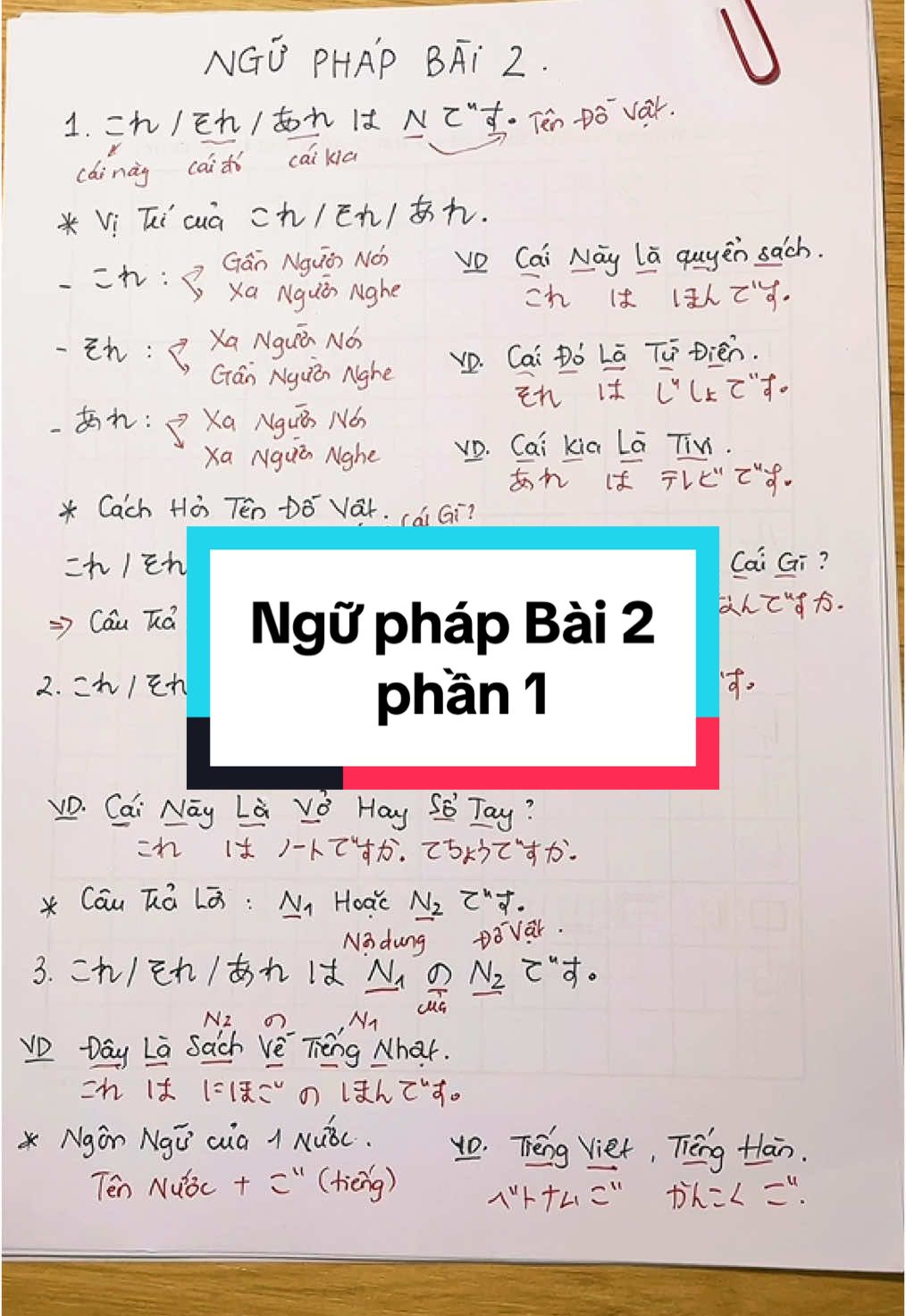 Tổng hợp cấu trúc ngữ pháp bài 2 (phần 1)🌷#hanhbuitiengnhat #hoctiengnhat #tiengnhat #tiengnhatmoingay #nihongo #tiengnhatchonguoimoibatdau 