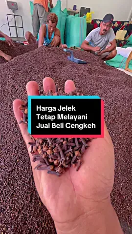 Tetap melayani jual dan beli cengkeh.  #cengkeh #clove #trenggalek24jam #petanicengkeh #gudangcengkeh #ekspor #impor #pabrikrokok #polowijomakmur #rempah #jawatimur 