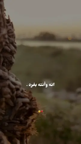 #ستوري #💔🥀 