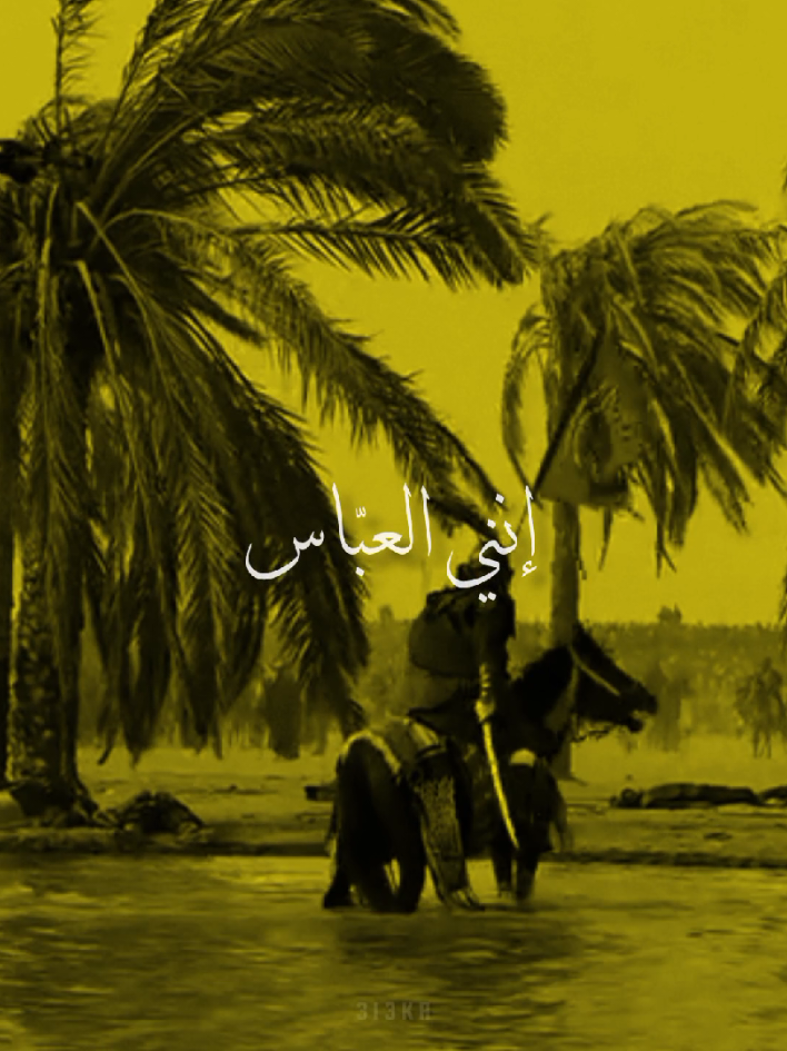 إنني العبّاس ،🌿❤️‍🩹#محمد_باقر_الخاقاني #انني_العباس#يااباعبدالله_الحسين #رجز#ياحسين #شور #بعيوني_وجودك_الدنيه_كلهة_حسين 