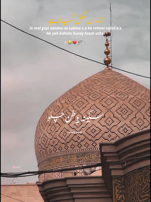 Zindan Khul Gya Hai 😭💔🔗🕊️ #MUHARRAM2025 #I -NEED-SUPPORT #1millionaudition #foryoupage #unfrezzmyaccount 