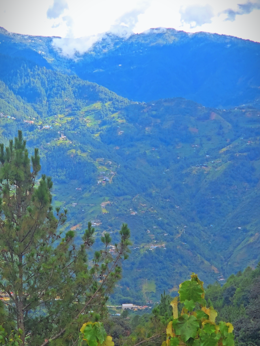 #Landscape #nature #green #terapia #adelsontojilgt 