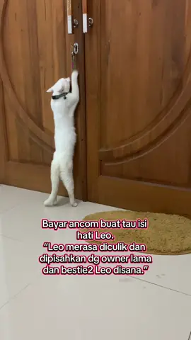 Menyesal tanya isi hati Leo ke ancom 🥲