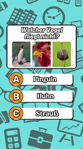 Bitte stellen Sie Ihr Wissen mit 4/4 Rätseln auf die Probe ! #quiz #wissen #allgemeinwissen #deutschland #deutschlernen #quizzeit #fragen #iq #teste 