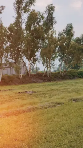 💖🍁❤️ . . . . . .  FORYOU VIDEO PLZ SUPPORT MY VIDEO UN FREEZ MY ACCOUNT... 