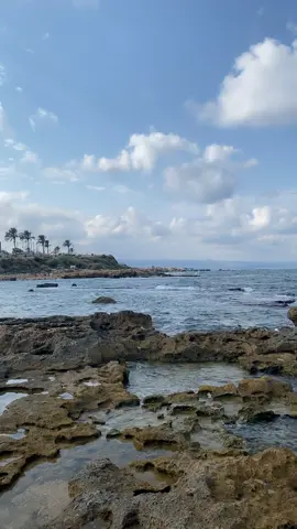 #هاني_شاكر#اكسبلور 