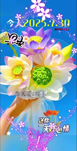 今天是7月30日星期三，早上好呀！比起风景，友谊更动人；比起金钱，健康更可贵。开心是良药，快乐是源泉。愿清晨有暖意，牵挂化微笑。柴米油盐品幸福，平凡日子藏美好。愿你被温柔包围，与快乐相伴，和幸福撞个满怀，开心快乐每一天！ #早安 #暖心语录 #情感 #分享 #祝福 