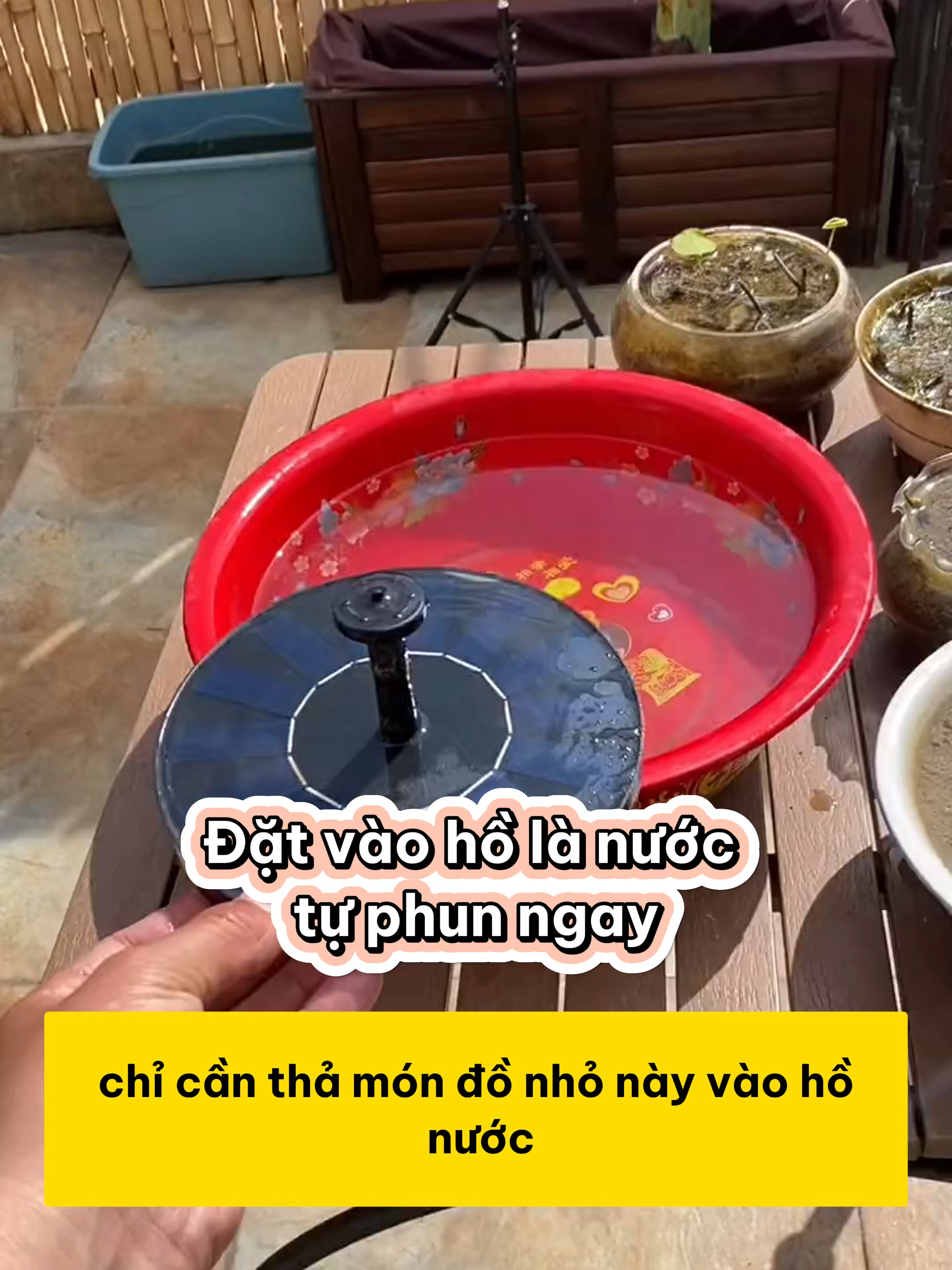 Chiếc đài phun mini khiến hồ thủy sinh mát mắt cả ngày hè #methuysinh #aquarium #fish #fyp