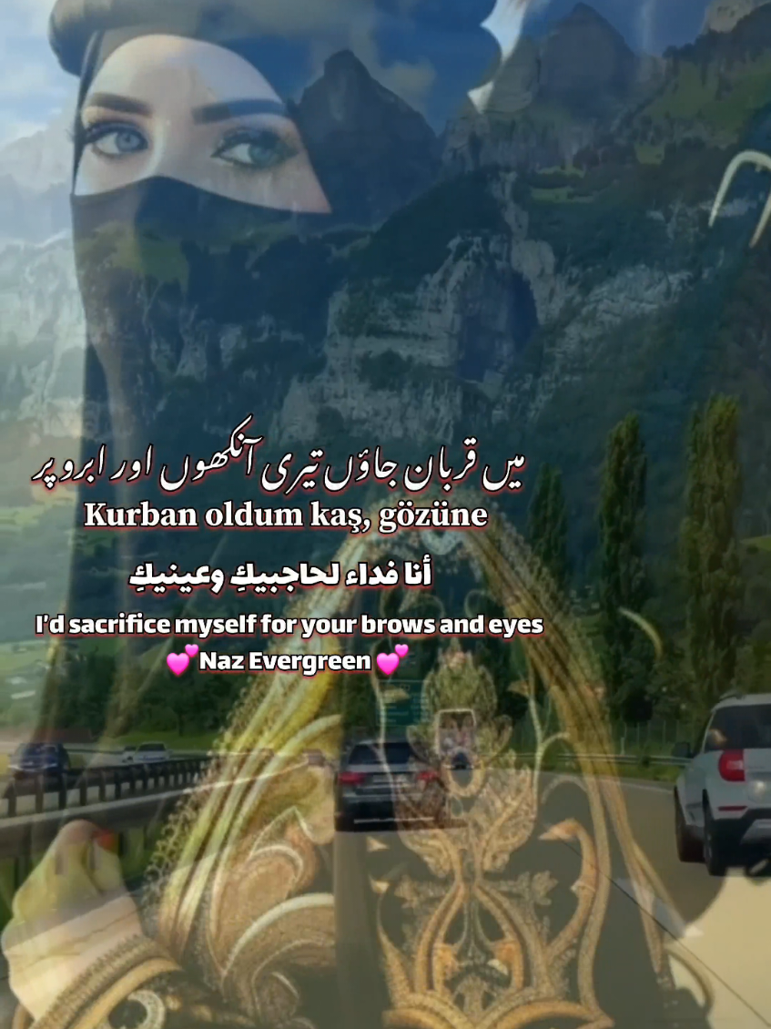 Valla ben Aşık Mecnun | TikTok Trending Song #foryou #foryoupage #viralsong #arabictrendingsong #vallabenaşıkmecnun #sardarnaz #arbicsong #evergreensong 