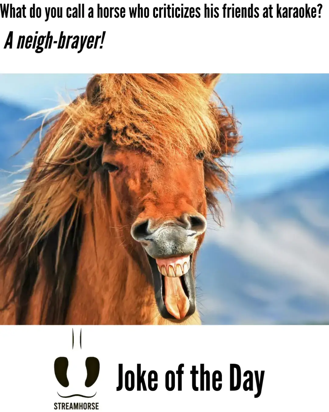 what do you call a horse who criticizes his friends at karaoke? 🤣🐴 #jokes #jokeoftheday #horses #memes #singing #karaoke #funny 