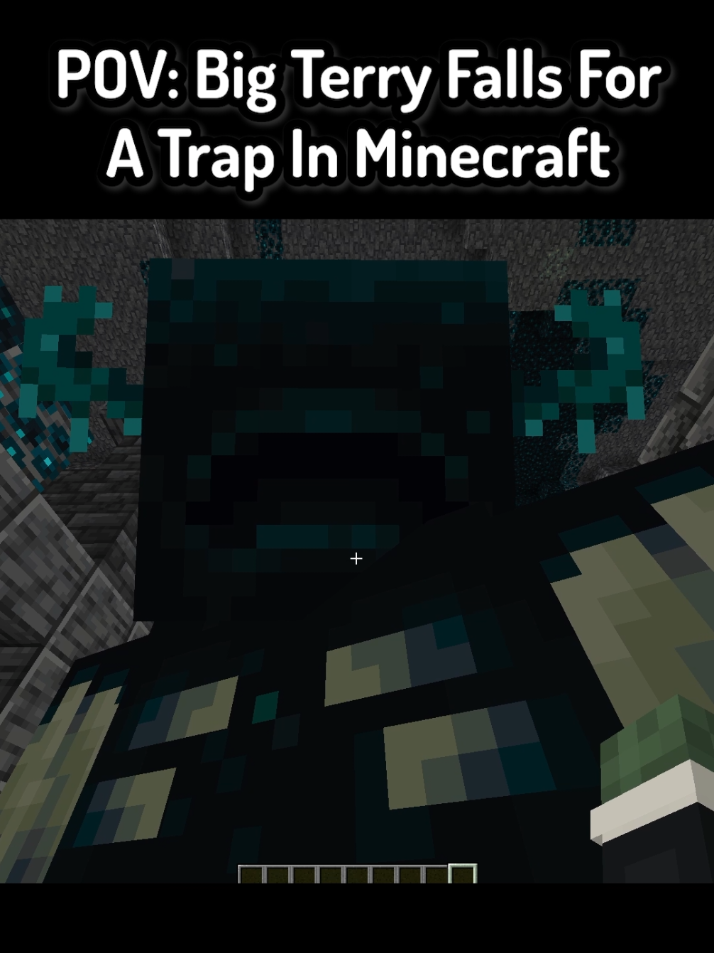 POV: Big Terry Falls For A Trap In Minecraft ( FT: @SquishyRob ) #Minecraft #funnymoments #mc #mcyt #minecraftmemes 