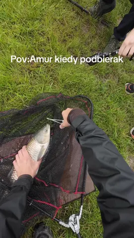 Ryba wróciła do wody cała i zdrowa #dc#fyp#ryby#akcja#wakacje 
