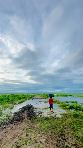 জীবনটা অনেক সময় কাদামাখা রাস্তা হয়ে যায়, তবু কেউ কেউ ছাতা হাতে মেঘের ভেতরেও স্বপ্ন খোঁজে #nature #naturelovers #jmjahmed #jmjahmed1 #villagelife #tranding #cowboy 
