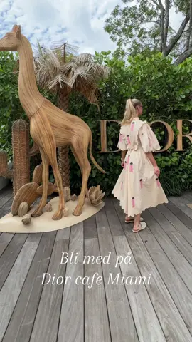 #foryou #fyp #dior 