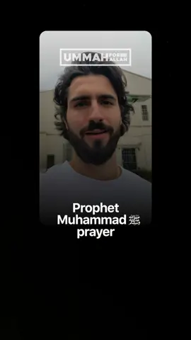 Prophet Muhammad ﷺ said: “I seek refuge with Allah and with His Power from the evil that I find and that I fear.” (Muslim)  #islamic #islam #muslim #Allah #islamicquotes #Quran #muslimah #allahuakbar #deen #mecca #islamicpost #islamicreminders #sunnah #hijab #alhamdulillah #islamicreminder #muslims #jannah #halal #halalfood #viral #madinah #madina #subhanallah #islamicposts #ummah #hadith #ummahforallah