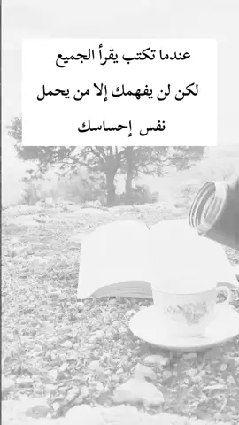 #اكسبلور 