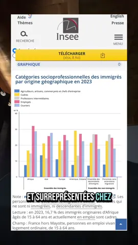 la division raciale du travail  #politique #immigration #gouvernement