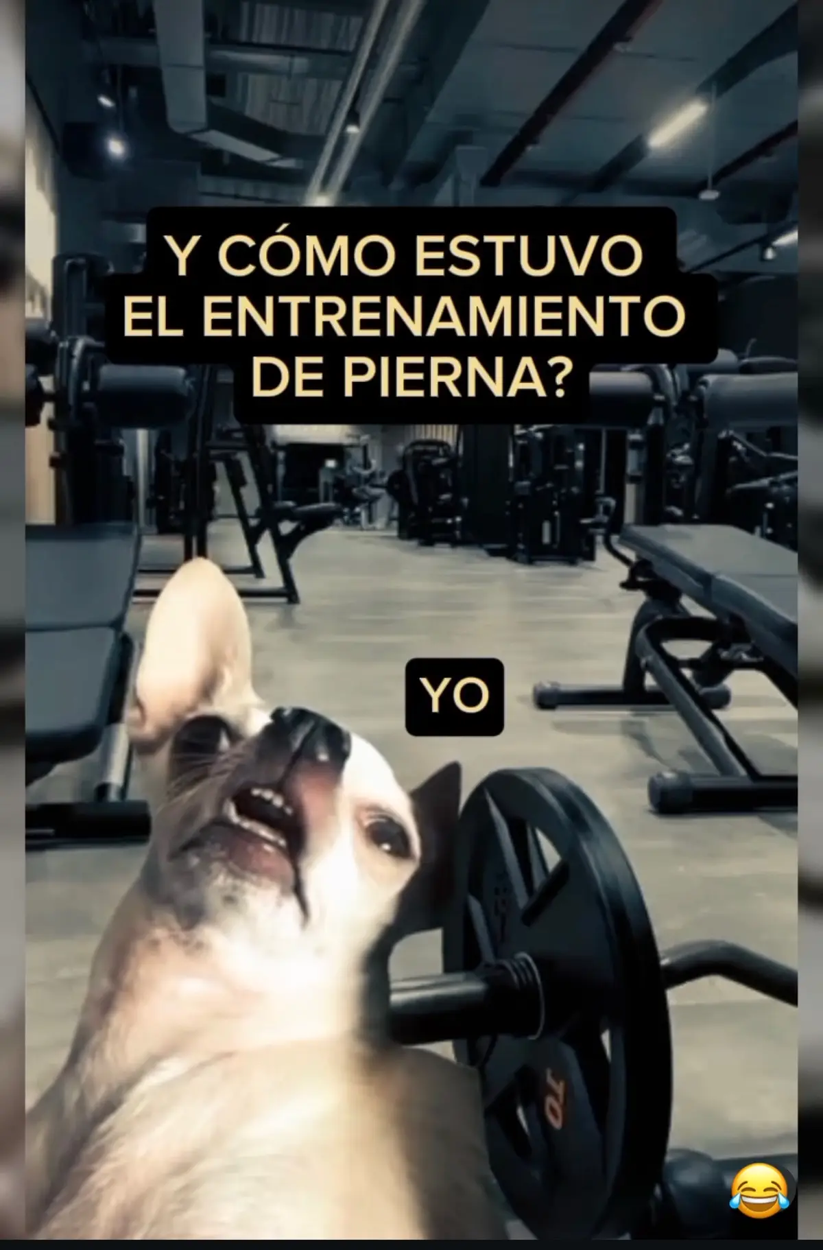 #humor 