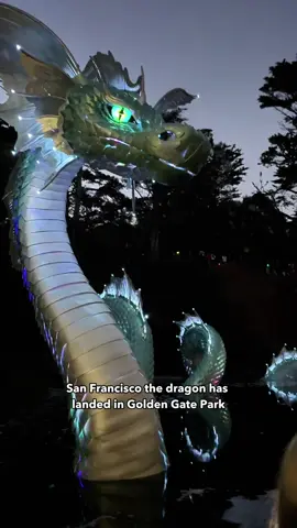 San Francisco, get your butts over to Golden Gate Park to see Naga! 🐉🌲 He's a serpent/dragon who debuted at Burning Man last year, but his new home is in Rainbow Falls (he'll stay for 2 years).  Naga is 100 feet long, blows bubbles and lights up at night. SO COOL.  Shout out to @illuminatethearts for making this possible for us San Francisco locals to have in our backyard.  #sanfrancisco #onlyinsf #burningman #art #dragon #goldengatepark #bayarea #sanfranciscothingstodo 