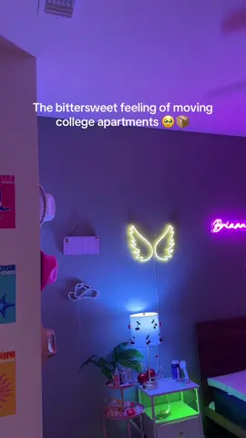 End of an era. 🥹  Stay tuned to see how I decorate my next apartment.🥰 #college #collegedecor #apartmentdecor #briannafgarrett #dormdecor #bedroomdecor #apartmentinspo #tampainfluencer #floridainfluencer #homedecor 