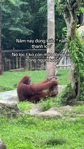 Sạch hơn nước lọc nữa #GreenCreator #VinWonders #Vinpearl #VinpearlGolf #WonderSummer2025 #dulich #phuquoc #vinpearlsafariphuquoc #viral 