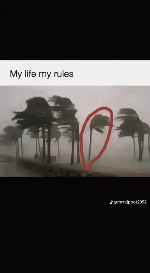 my life my rules👑 foryou#video#10kviews🥺tiktokteam 