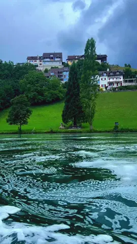 ☘️سویس 🇨🇭🌺😍