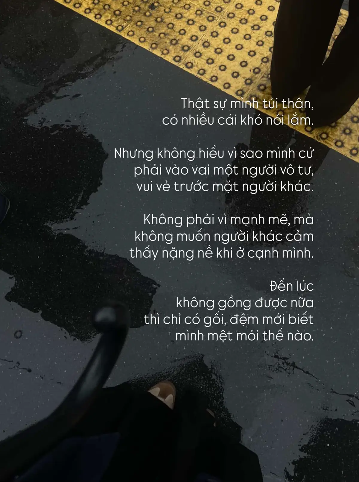 #xuhuong #viral 