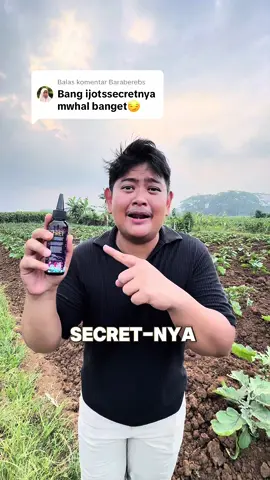 Membalas @Baraberebs MAHAL BANGET??!!! #ijotssecret 