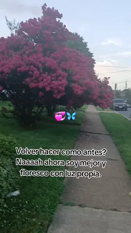Mejor que antes #viraltiktok ##fyppppppppppppppppppppppp #viral🖤tiktok☆♡🦋myvideo👑🖤 #enparati 