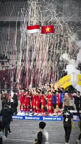 Congrats Vietnam 🇻🇳 #aseanu23championship ✨ and heads up Indonesia 🇮🇩 !! 🫡 #mandiricup @ASEAN United FC #indonesia #vietnam 