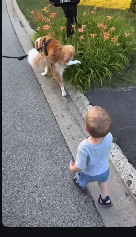 #funnybaby #dog #baby #fyp #vairal #fürdich #comedia #tranding #friends #cutebaby #babyboy #dogsoftiktok #dogs 