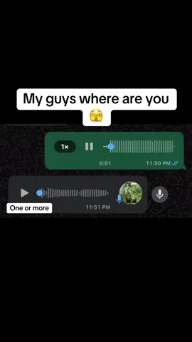 Our favorite verse😅@It’s me سمية🧕🫢❤️ 