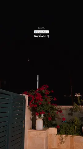 #ان_روحي_تناجيها #tarqumiya #palestine #hebron #الليل 